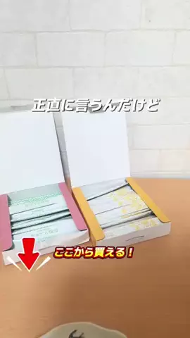 めぐちゃんねるのTikTok投稿