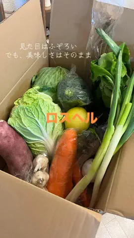 森のくま子⌇𝟸人前𝟻𝟶𝟶円で作る【節約レシピ】のTikTok投稿