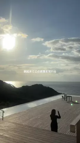 韓国メロンのTikTok投稿