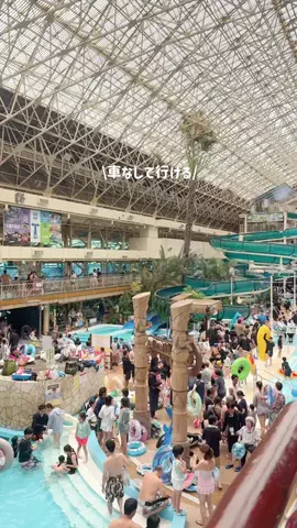 かおる✈️ / Kaoru☀︎のTikTok投稿