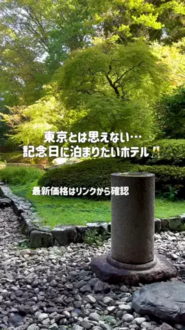かおる✈️ / Kaoru☀︎のTikTok投稿