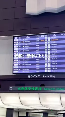 かおる✈️ / Kaoru☀︎のTikTok投稿