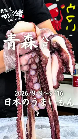 みゆのぐるめ | 青森グルメ・おでかけのTikTok投稿