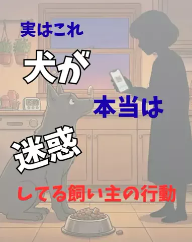 わんダフルライフのTikTok投稿