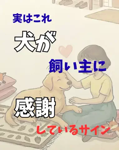 わんダフルライフのTikTok投稿