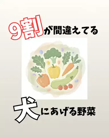 わんダフルライフのTikTok投稿