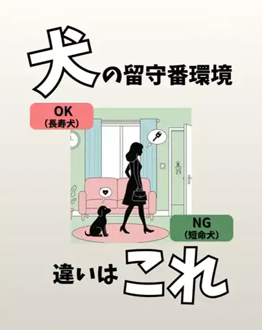 わんダフルライフのTikTok投稿