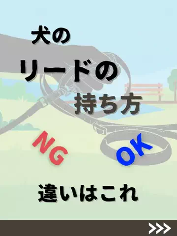 わんダフルライフのTikTok投稿