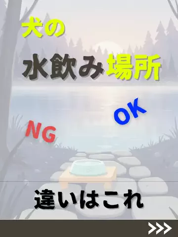 わんダフルライフのTikTok投稿