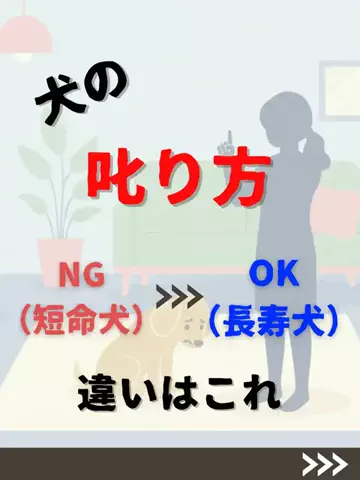 わんダフルライフのTikTok投稿