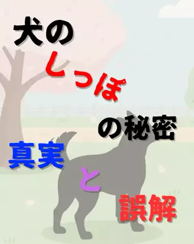 わんダフルライフのTikTok投稿