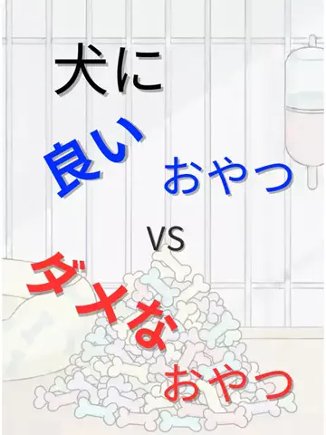 わんダフルライフのTikTok投稿