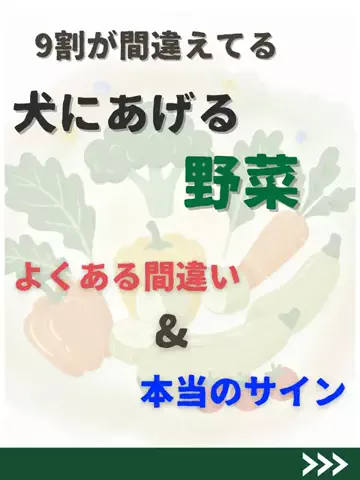 わんダフルライフのTikTok投稿