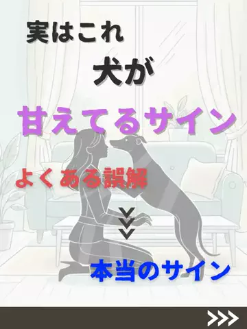 わんダフルライフのTikTok投稿