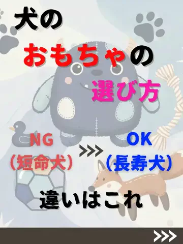 わんダフルライフのTikTok投稿