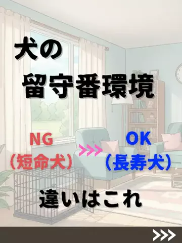 わんダフルライフのTikTok投稿