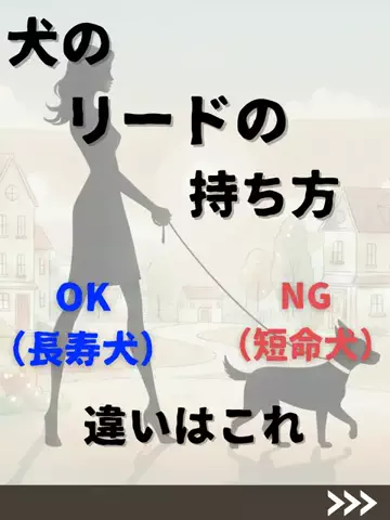 わんダフルライフのTikTok投稿