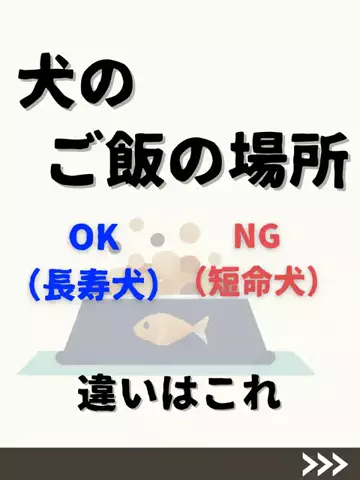 わんダフルライフのTikTok投稿