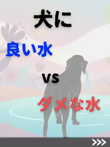 わんダフルライフのTikTok投稿