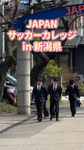 【公式】ヤンサカのTikTok投稿