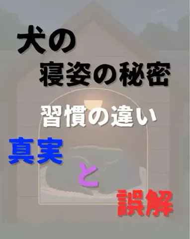 わんダフルライフのTikTok投稿