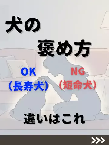 わんダフルライフのTikTok投稿