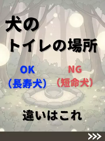 わんダフルライフのTikTok投稿