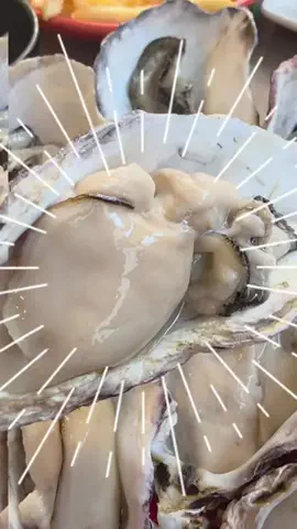 牛タン先生のTikTok投稿