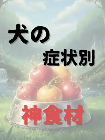 わんダフルライフのTikTok投稿