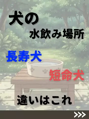 わんダフルライフのTikTok投稿