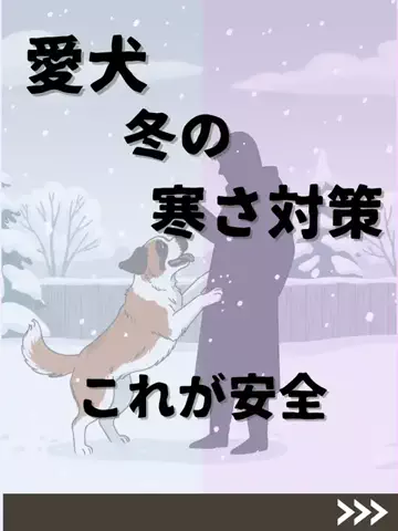 わんダフルライフのTikTok投稿