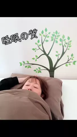 🍭まきmaky🍭チャンネル📺のTikTok投稿