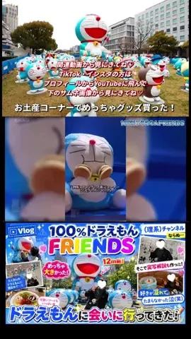 だいちゃんねるのTikTok投稿