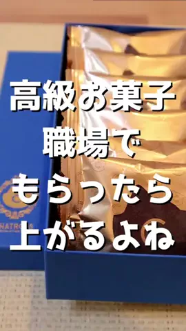 ねぼのTikTok投稿