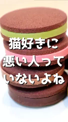 ねぼのTikTok投稿