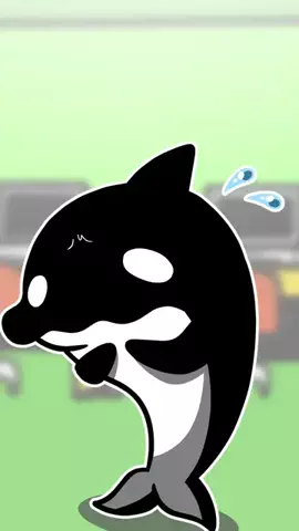 テイコウペンギンのTikTok投稿