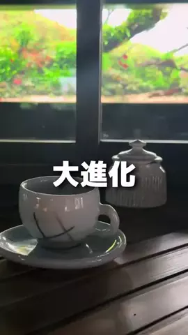 Miz / 北海道・札幌スイーツのTikTok投稿