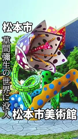 オヤジ飯🐱長野グルメ食べ歩きのTikTok投稿