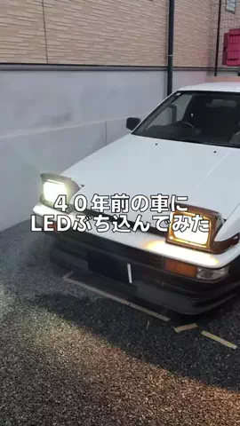 めちのTikTok投稿
