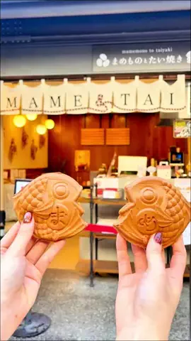 ぐるねこ｜群馬グルメ・おでかけのTikTok投稿