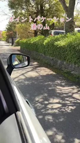 travel_diary_kouchanのTikTok投稿