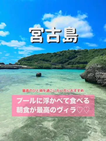旅行大好き女子🐬🤍のTikTok投稿