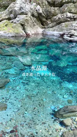 旅行大好き女子🐬🤍のTikTok投稿