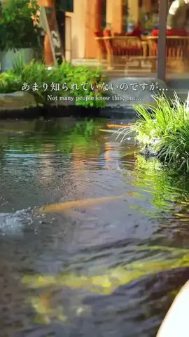 su_mliのTikTok投稿