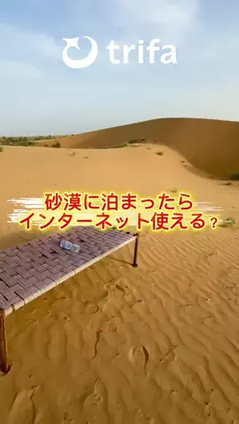 ばびーのTikTok投稿