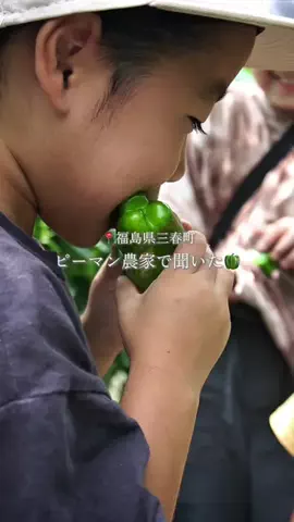 りえ｜無添加な食卓のTikTok投稿