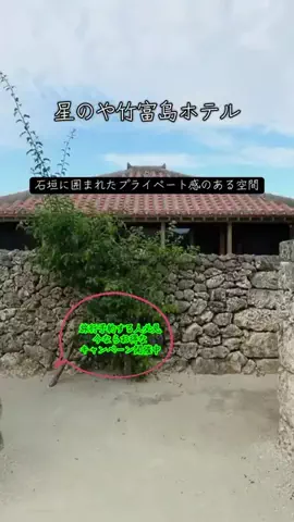 💗RITO💗のTikTok投稿