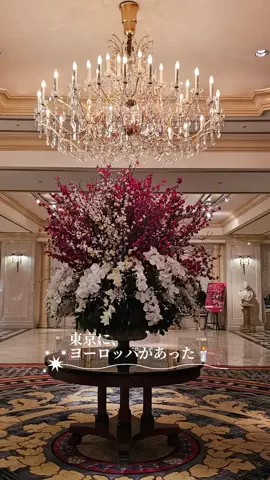 東京クイーン [tokyoqueen]のTikTok投稿