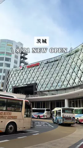 ゆか🍃茨城のおでかけ・グルメのTikTok投稿