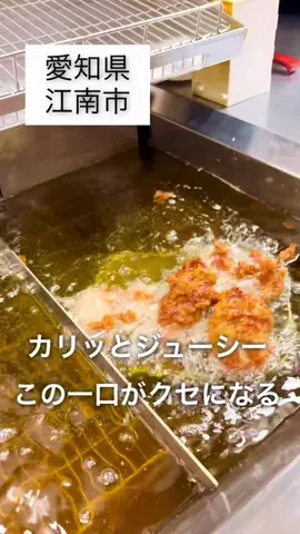 まなみのTikTok投稿